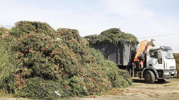 residuos Almeria-resuelto-gestionar-restos-vegetales_1206189645_78987114_667x375|straw-bales-3521063_960_720 (2)|bala trigo recortada